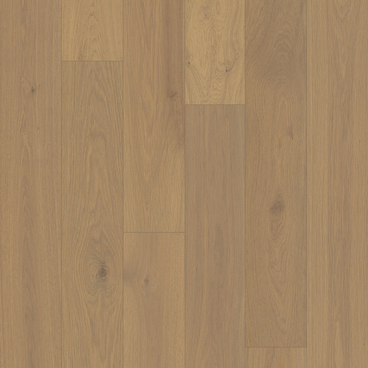 Outer Banks Elite Gullwing Engineered Hardwood Flooring, Fuzion square flooring swatch