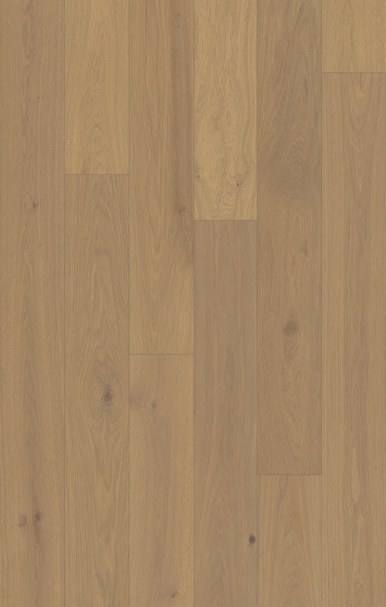 Outer Banks Elite Gullwing Engineered Hardwood Flooring, Fuzion swatch