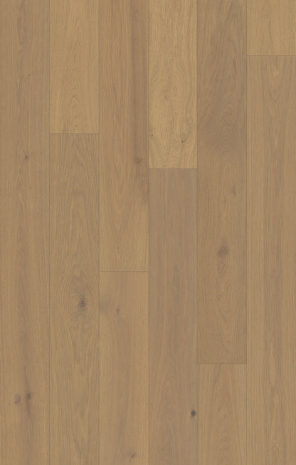 Outer Banks Elite Gullwing Engineered Hardwood Flooring, Fuzion swatch