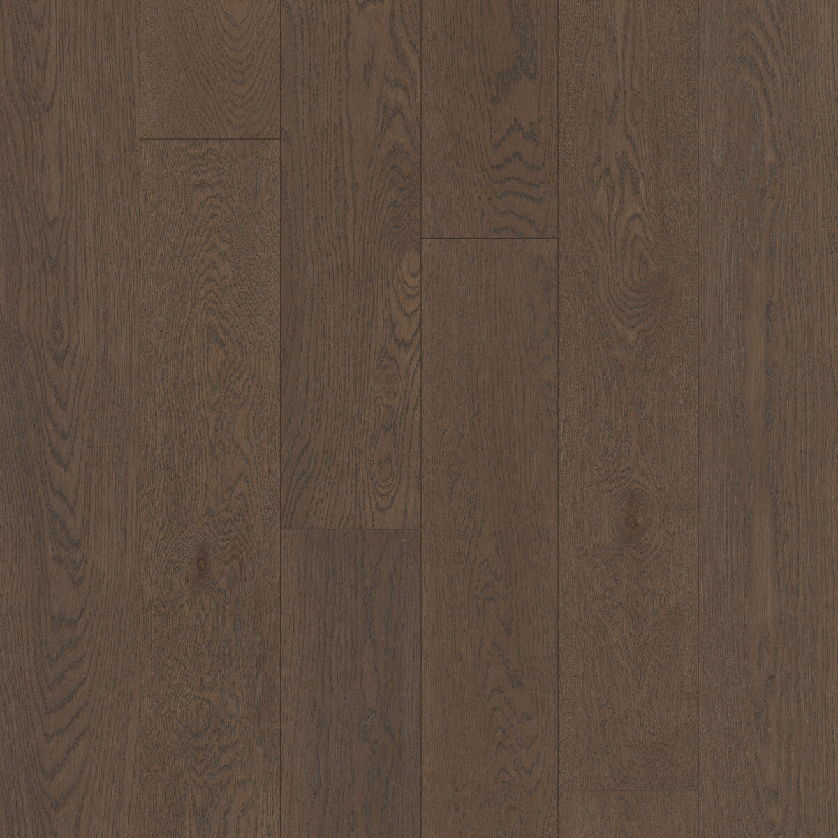 Outer Banks Elite Hatteras Engineered Hardwood Flooring, Fuzion square flooring swatch