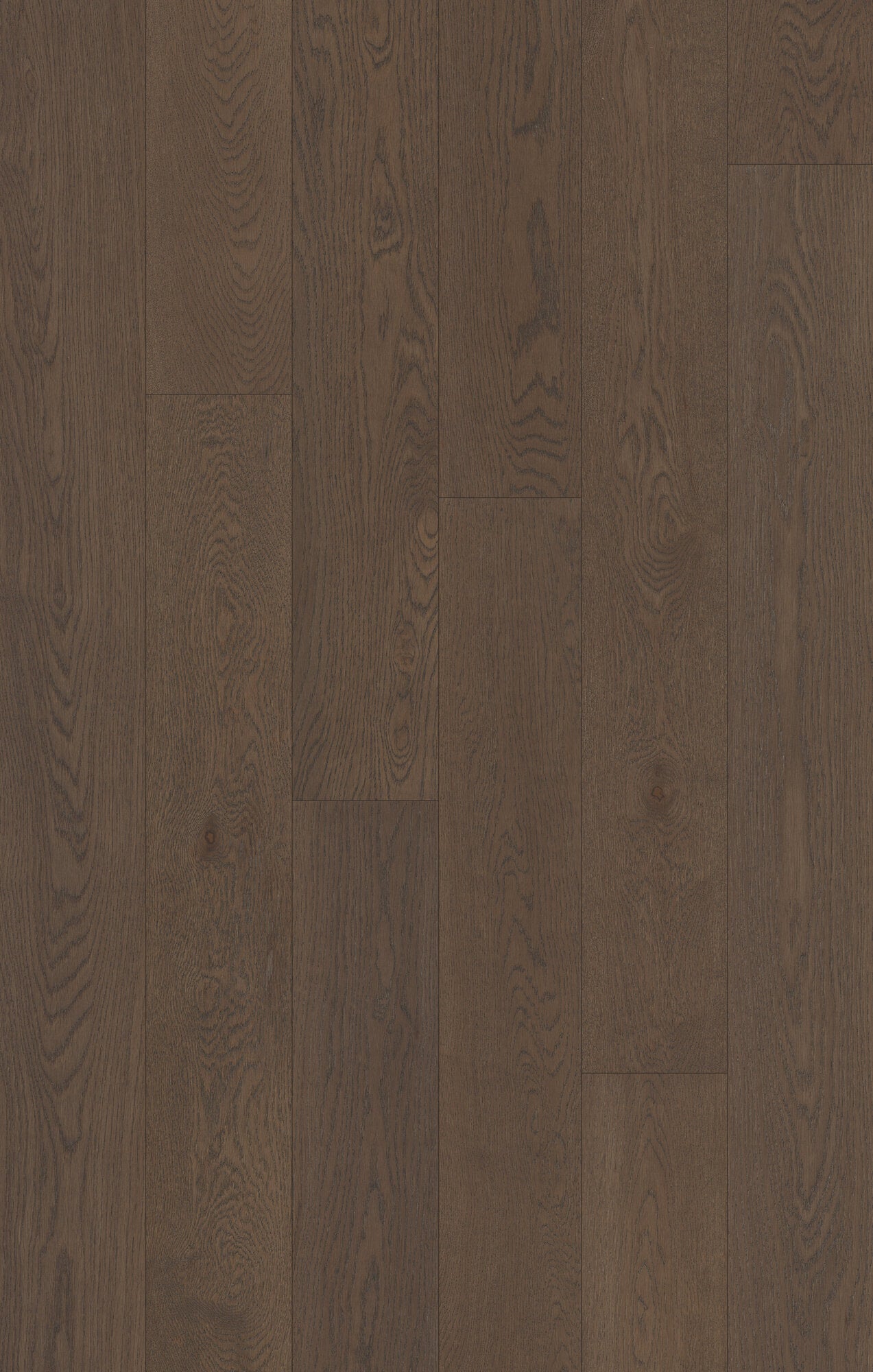 Outer Banks Elite Hatteras Engineered Hardwood Flooring, Fuzion swatch