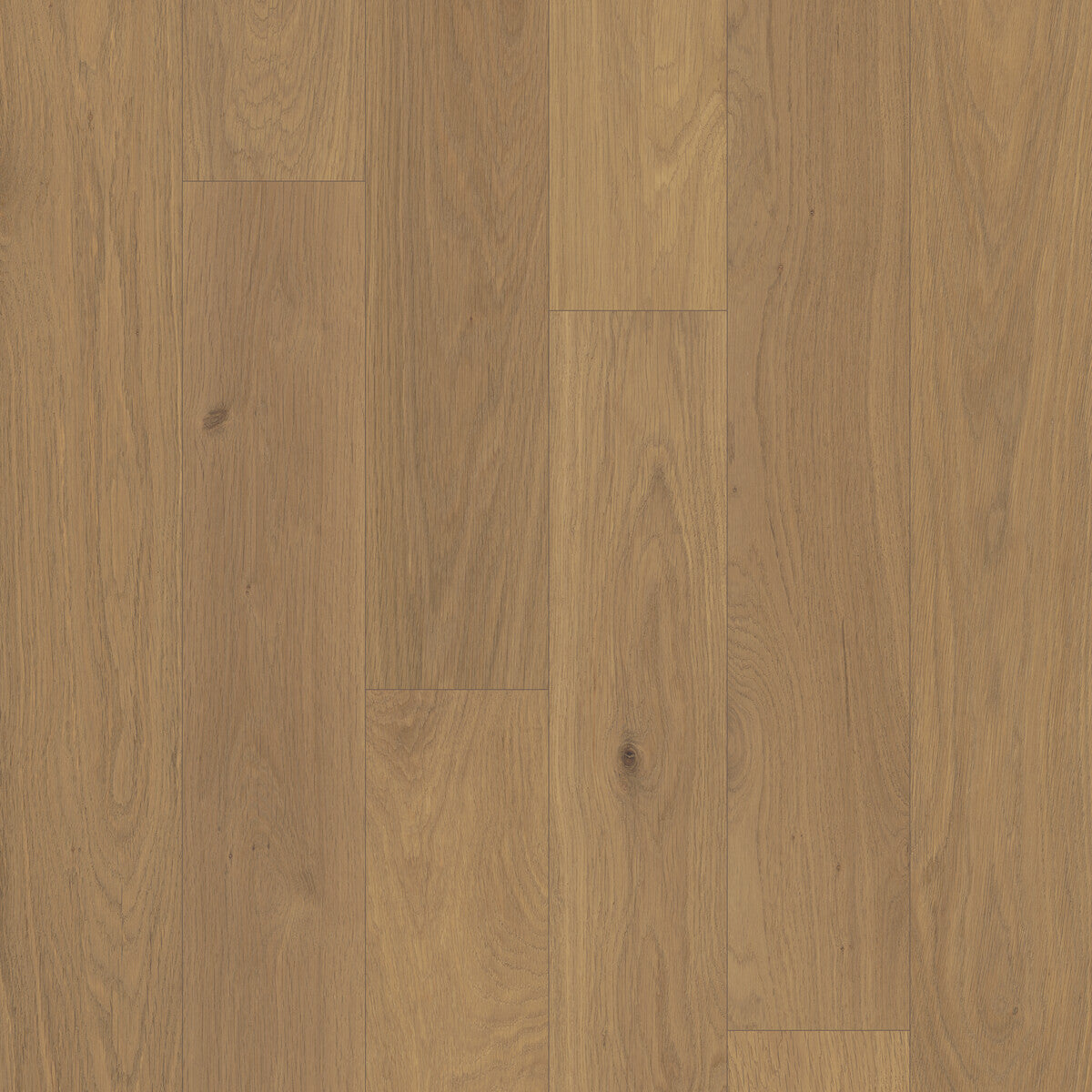 Outer Banks Elite Marshland Taupe Engineered Hardwood Flooring, Fuzion square flooring swatch