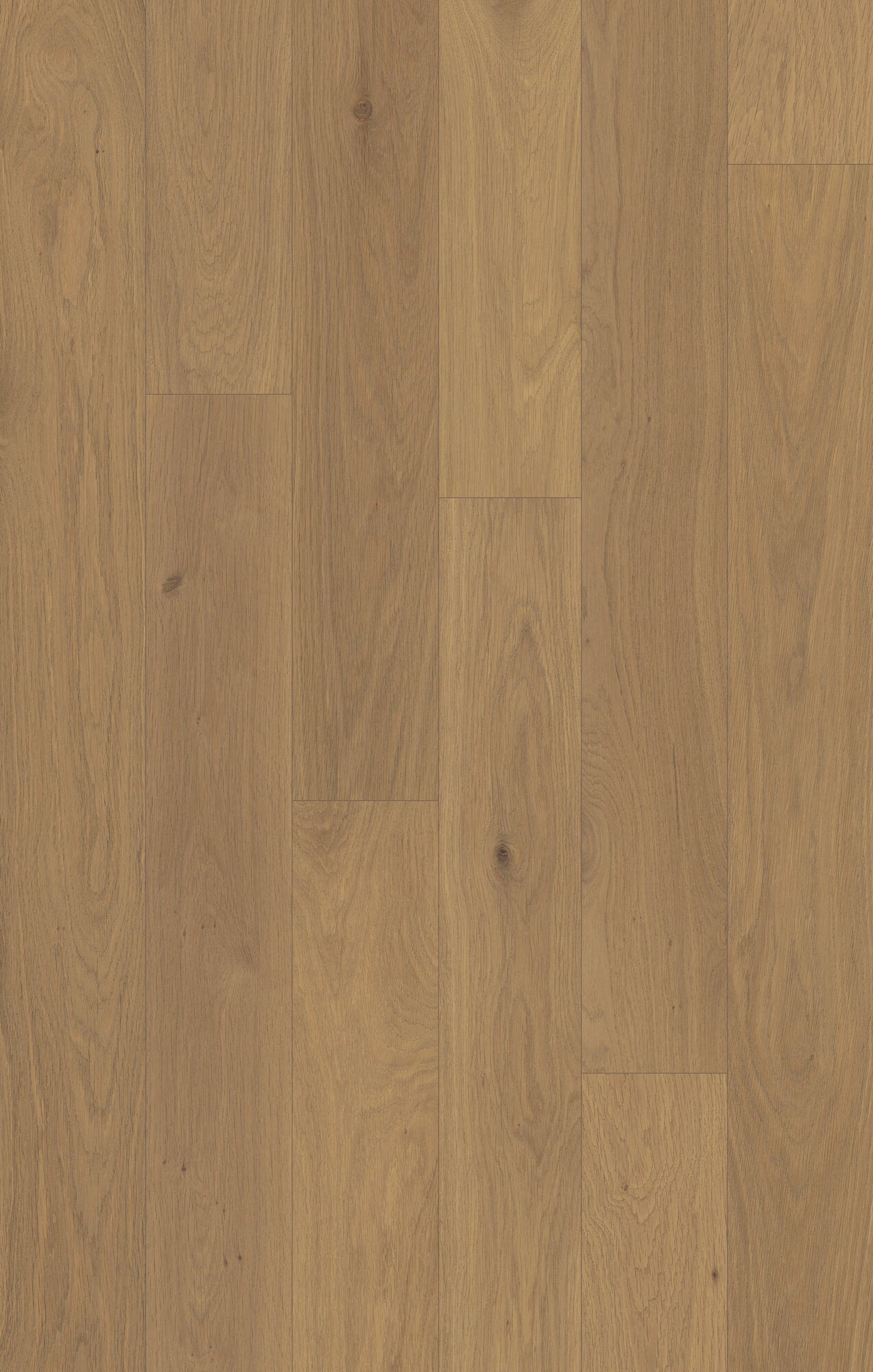 Outer Banks Elite Marshland Taupe Engineered Hardwood Flooring, Fuzion swatch