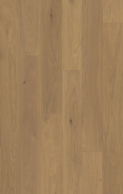 Outer Banks Elite Marshland Taupe Engineered Hardwood Flooring, Fuzion swatch