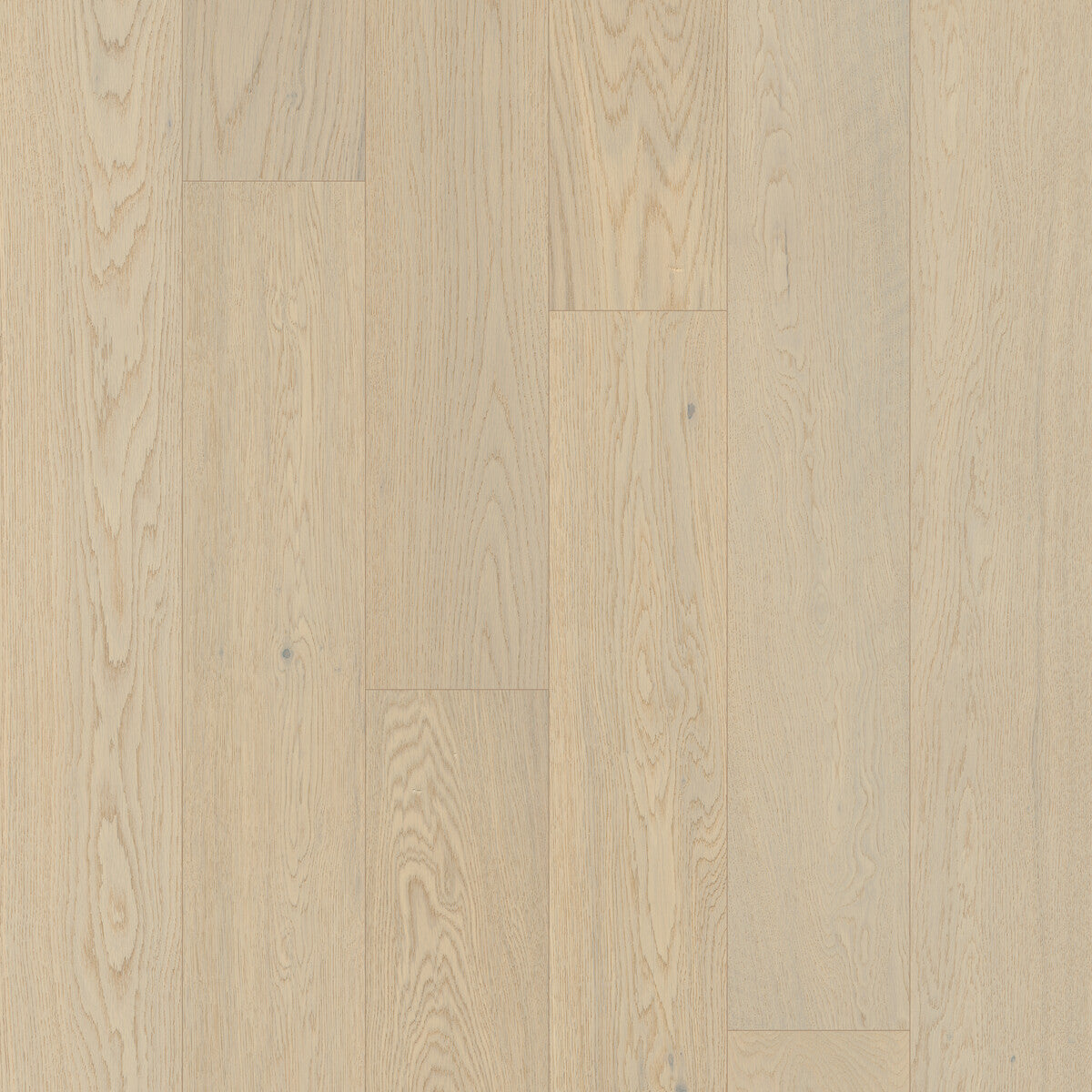 Outer Banks Elite Pinctada Engineered Hardwood Flooring, Fuzion square flooring swatch