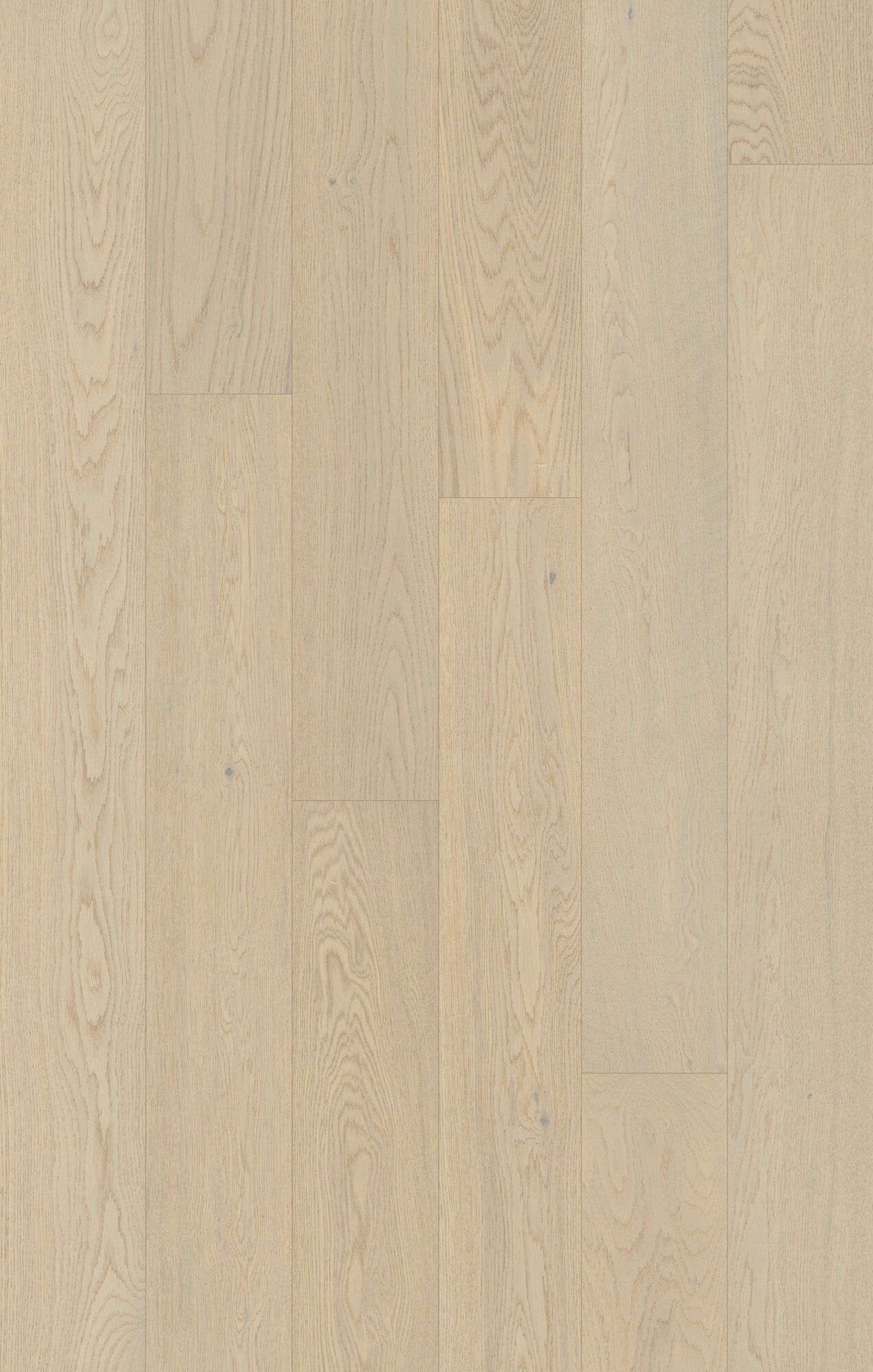 Outer Banks Elite Pinctada Engineered Hardwood Flooring, Fuzion swatch