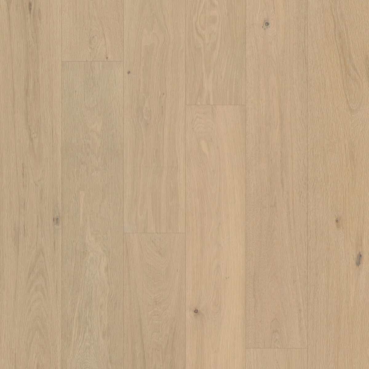 Outer Banks Elite Sand Dune Engineered Hardwood Flooring, Fuzion square flooring swatch
