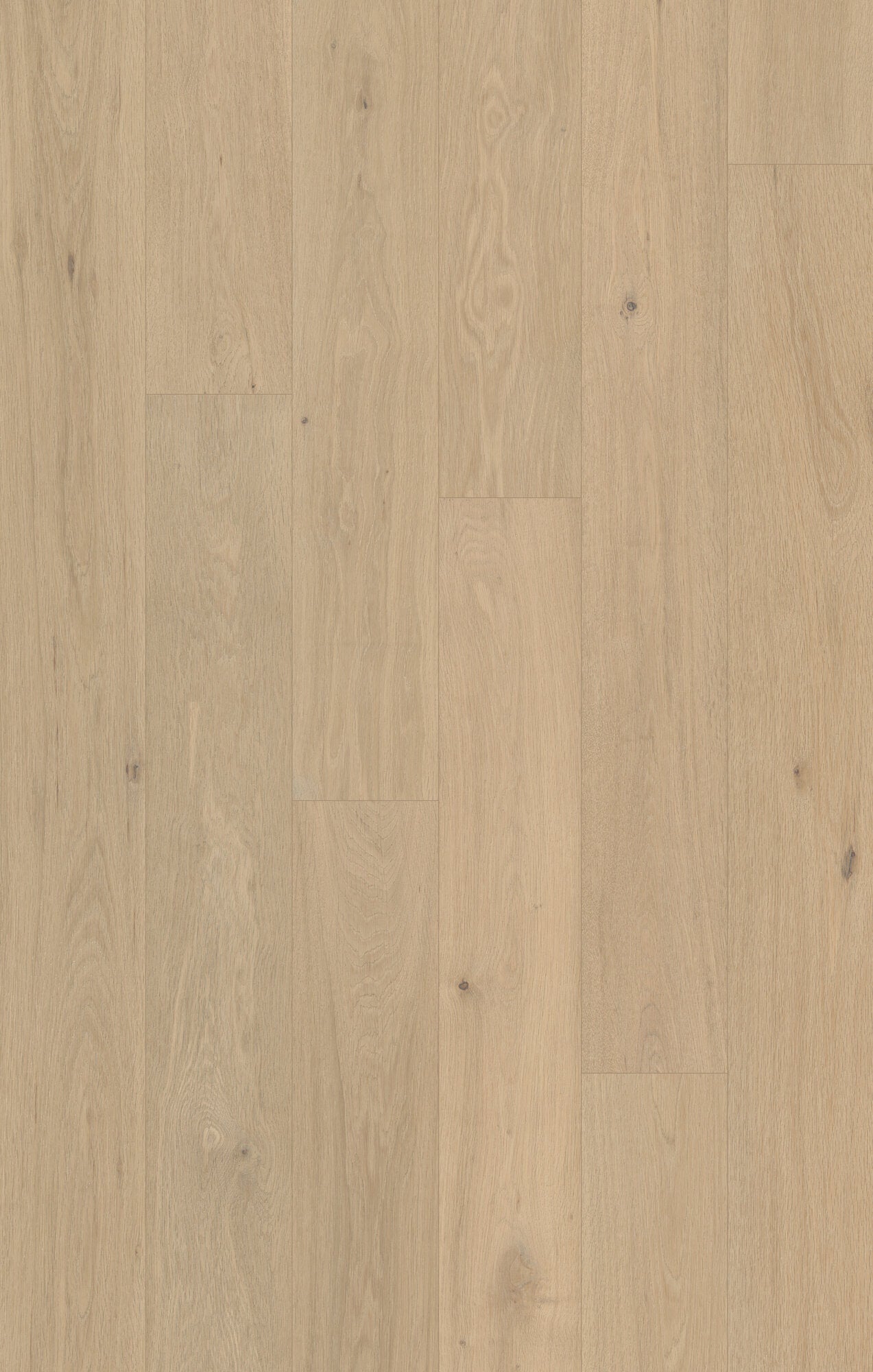 Outer Banks Elite Sand Dune Engineered Hardwood Flooring, Fuzion swatch