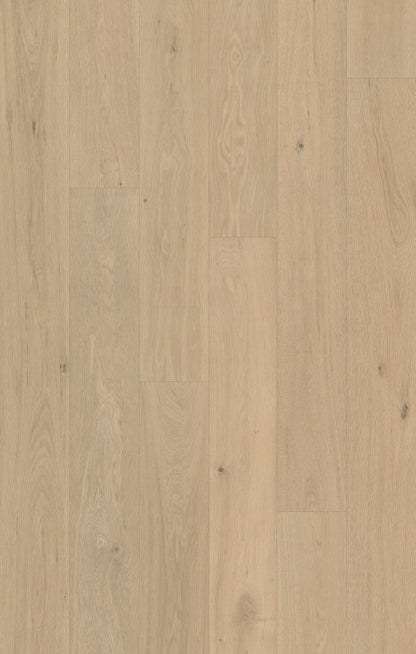 Outer Banks Elite Sand Dune Engineered Hardwood Flooring, Fuzion swatch