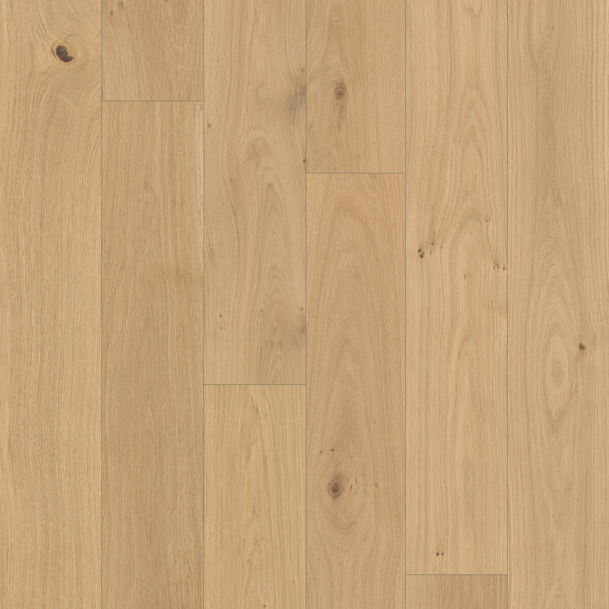 Outer Banks Elite Seashell Path Engineered Hardwood Flooring, Fuzion square flooring swatch