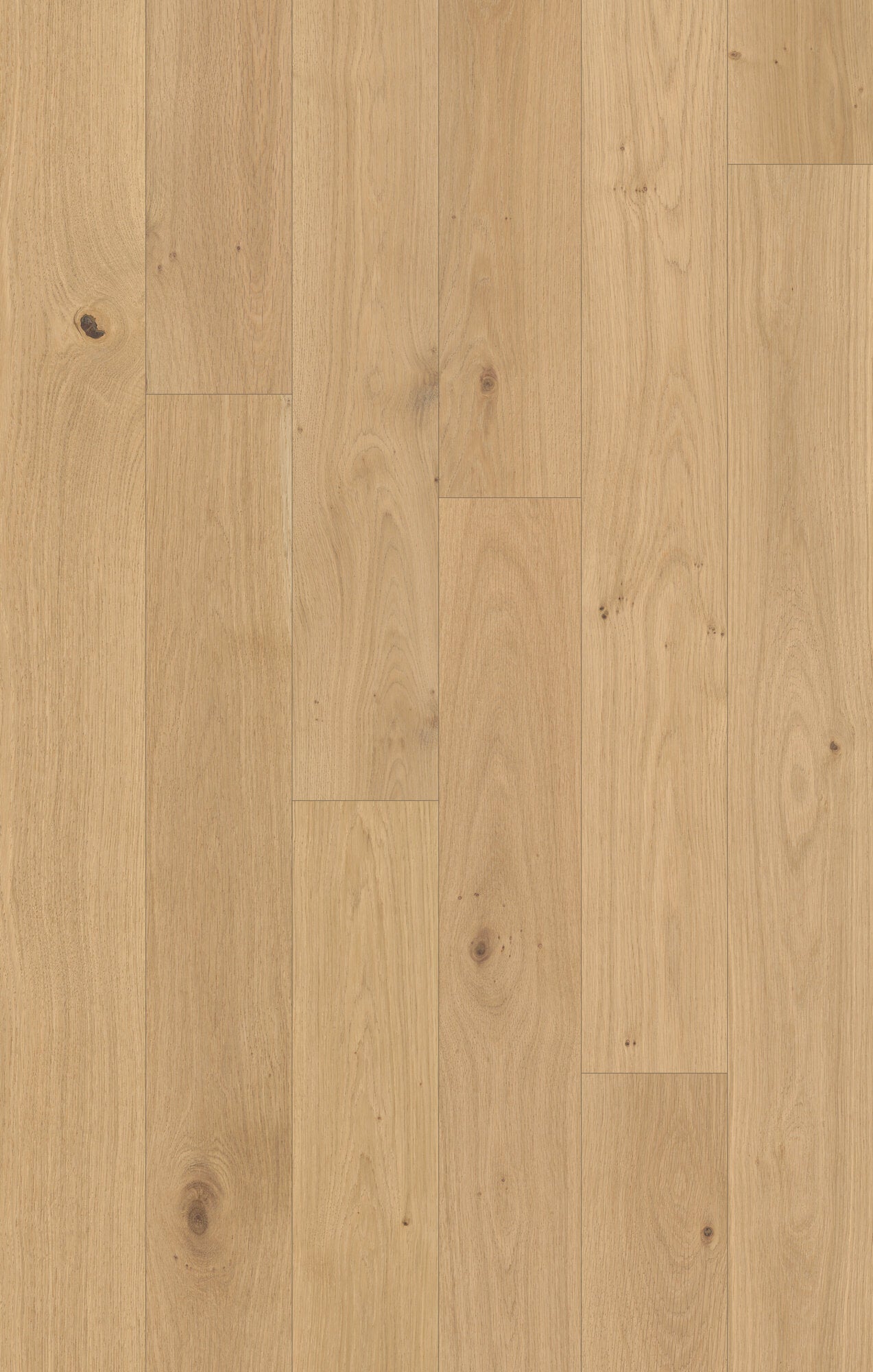 Outer Banks Elite Seashell Path Engineered Hardwood Flooring, Fuzion swatch
