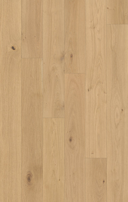 Outer Banks Elite Seashell Path Engineered Hardwood Flooring, Fuzion swatch