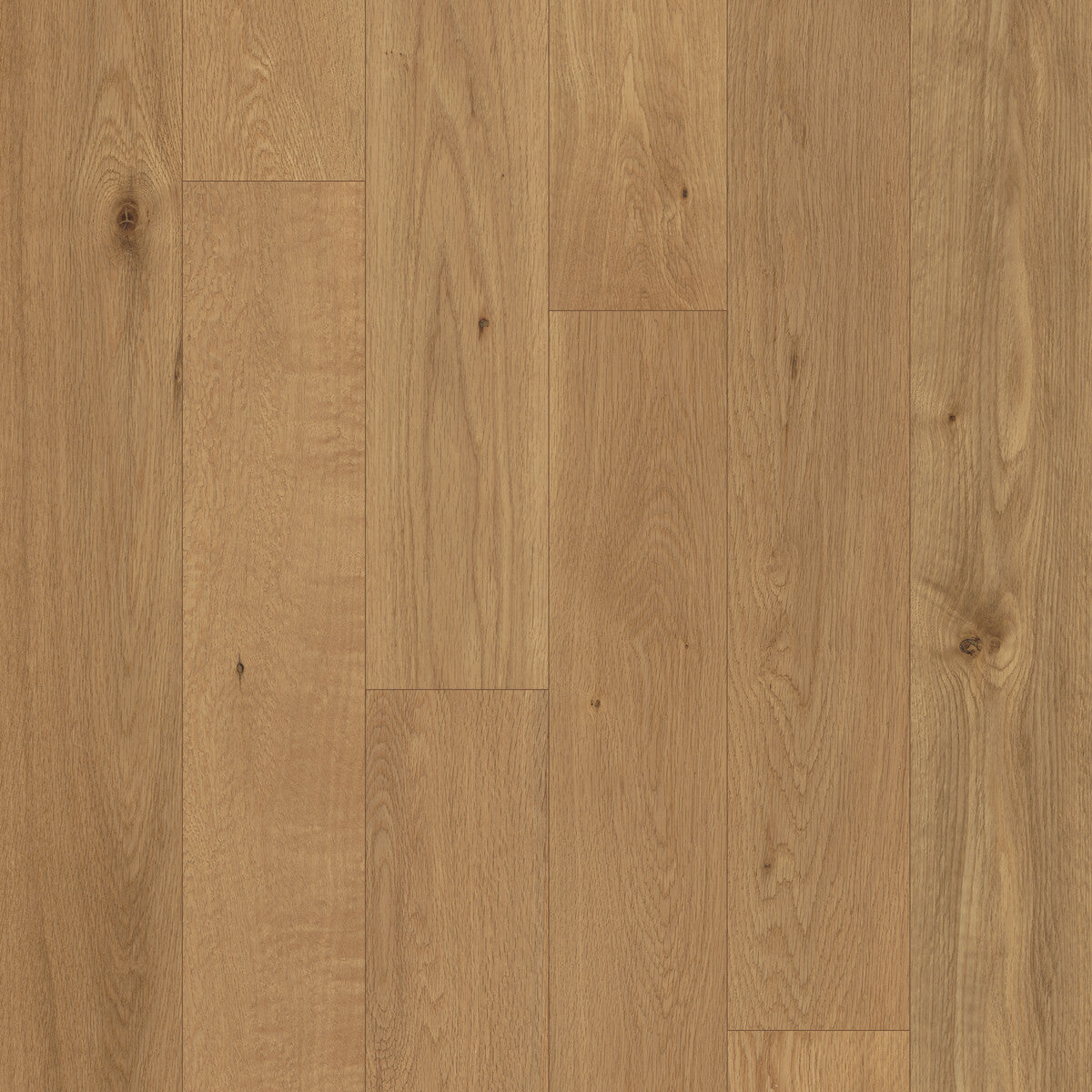 Outer Banks Elite Sea Oats Engineered Hardwood Flooring, Fuzion square flooring swatch