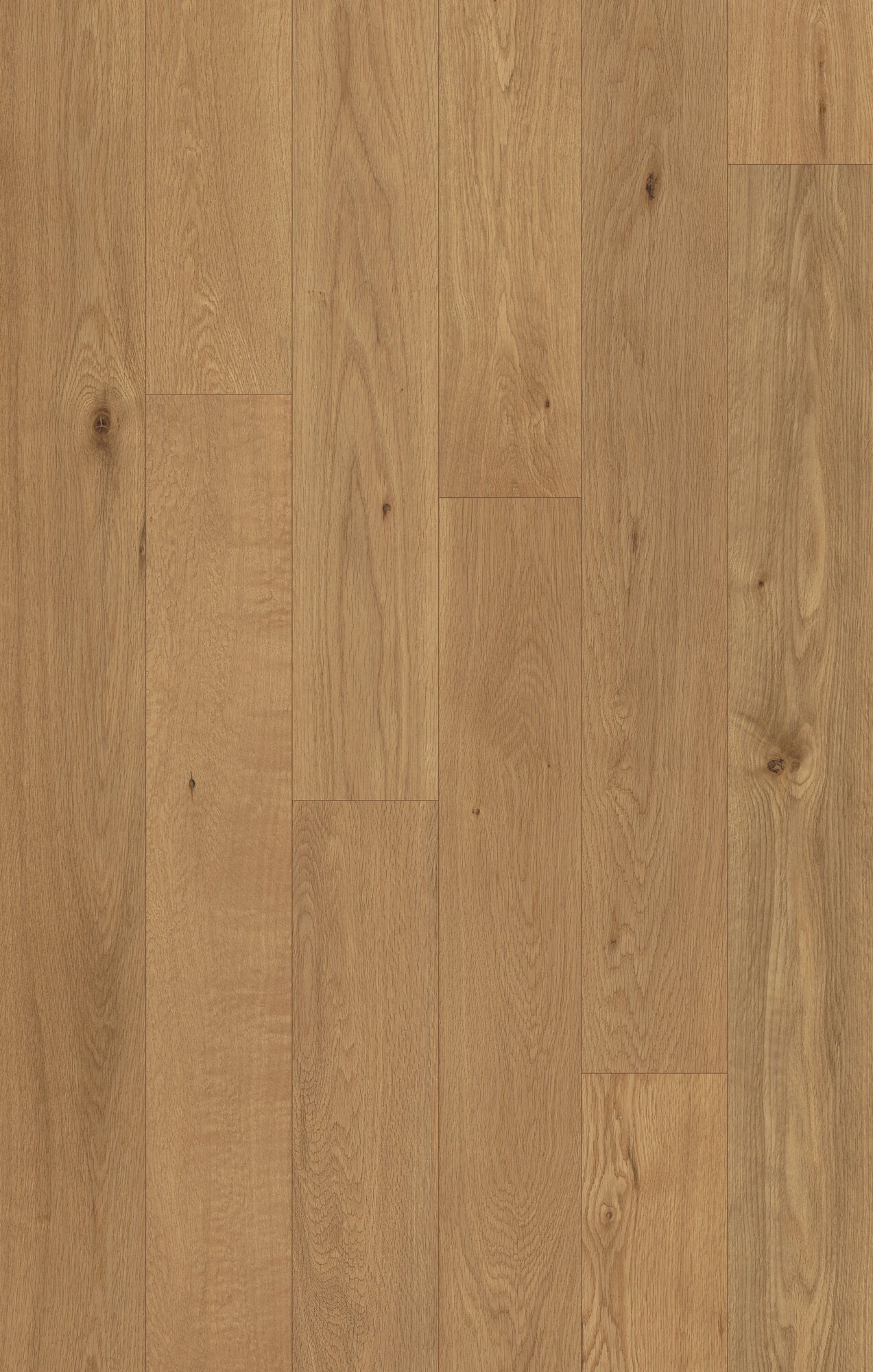 Outer Banks Elite Sea Oats Engineered Hardwood Flooring, Fuzion swatch