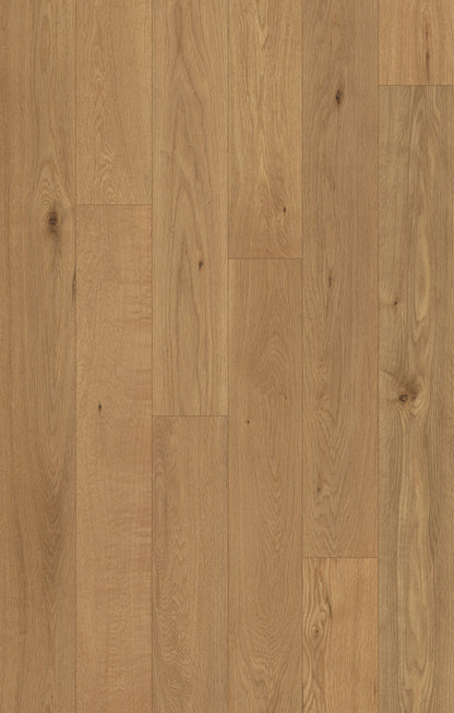 Outer Banks Elite Sea Oats Engineered Hardwood Flooring, Fuzion swatch