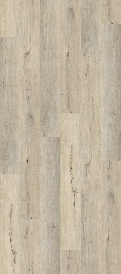 Timberline Aspen Breeze Luxury Vinyl Plank Flooring, Fuzion swatch