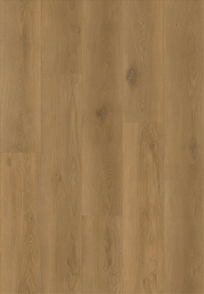 Timberline Gold Timber Luxury Vinyl Plank Flooring, Fuzion swatch