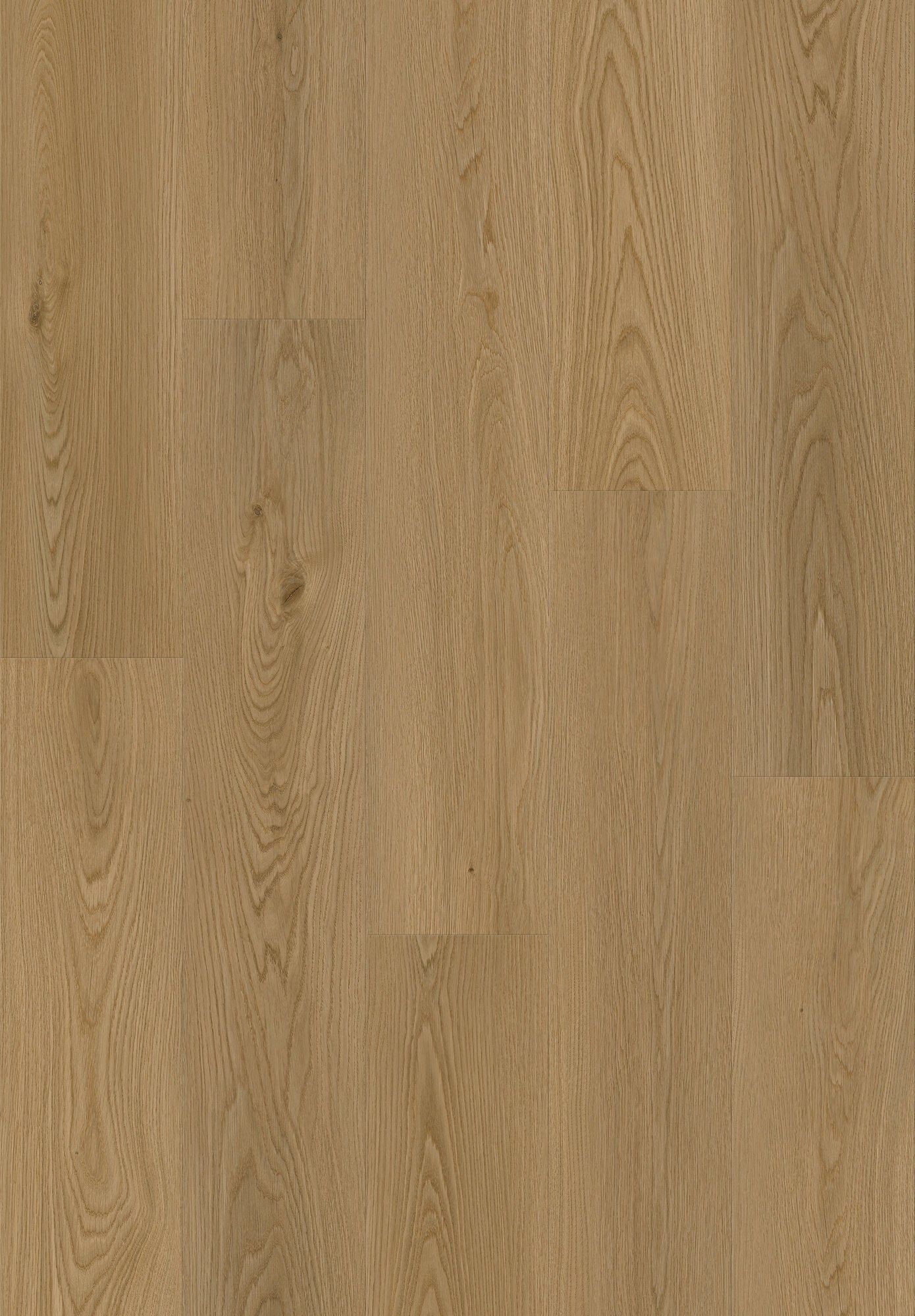 Timberline Rustic Haze Luxury Vinyl Plank Flooring, Fuzion swatch