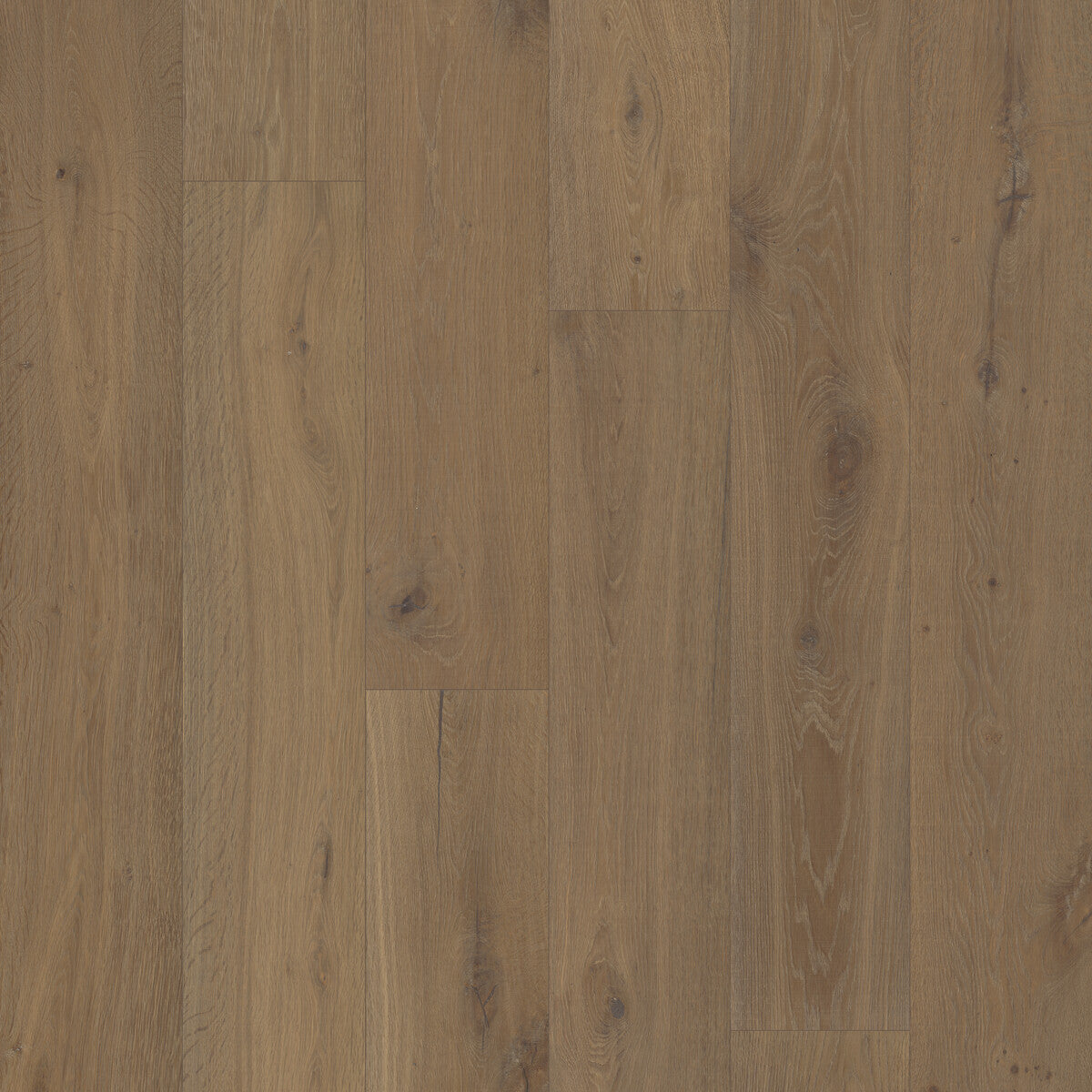 Trunorth Cabin Hearth Engineered Hardwood Flooring, Fuzion square flooring swatch