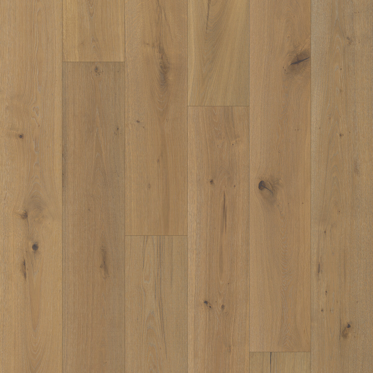 Trunorth Lodge Pole Engineered Hardwood Flooring, Fuzion square flooring swatch