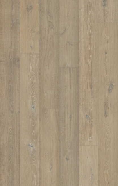 Trunorth Misty Fjord Engineered Hardwood Flooring, Fuzion swatch