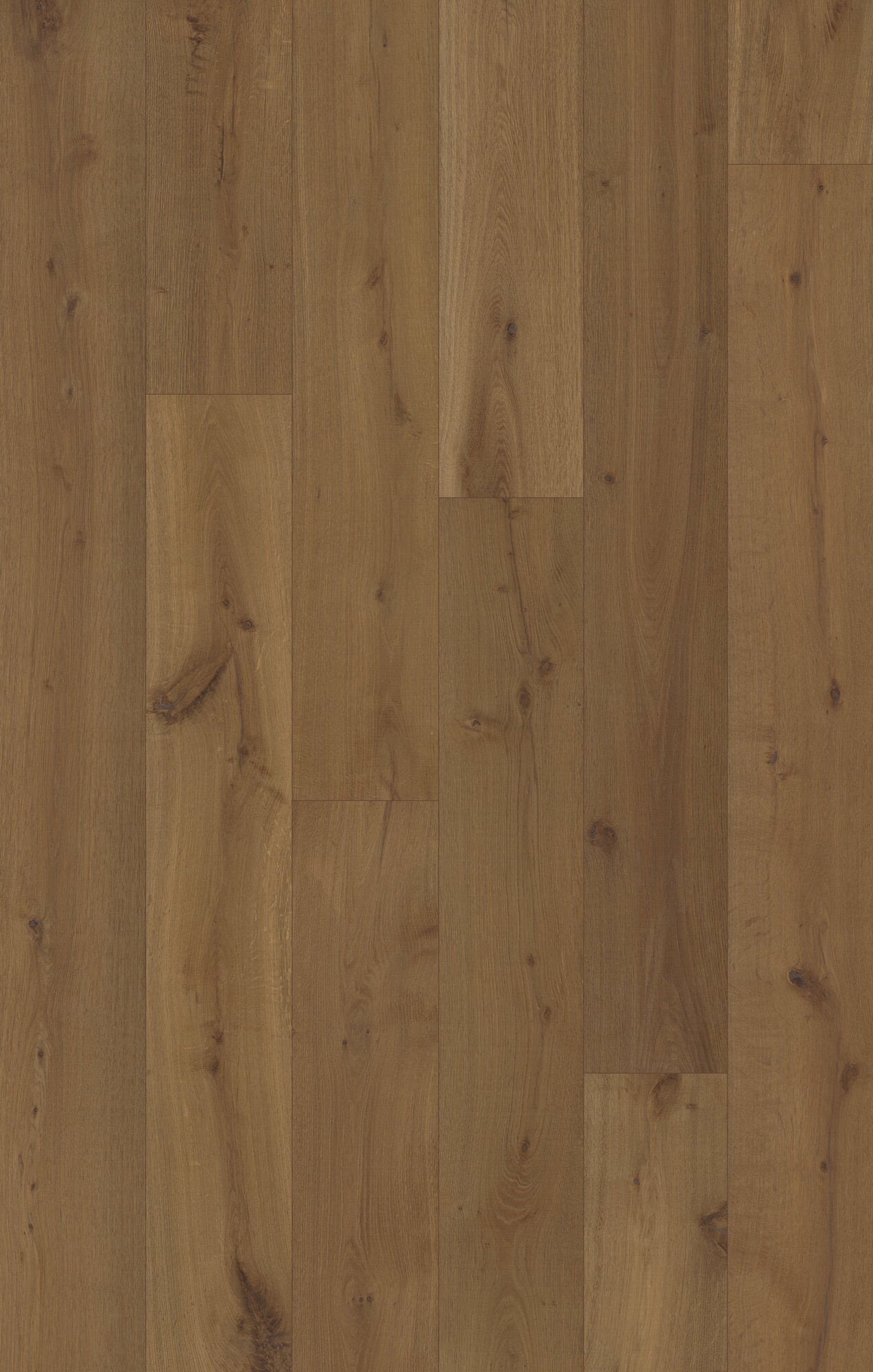 Trunorth Rustic Echo Engineered Hardwood Flooring, Fuzion swatch