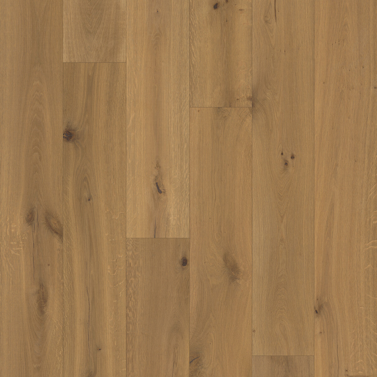 Trunorth Shadow Glen Engineered Hardwood Flooring, Fuzion square flooring swatch