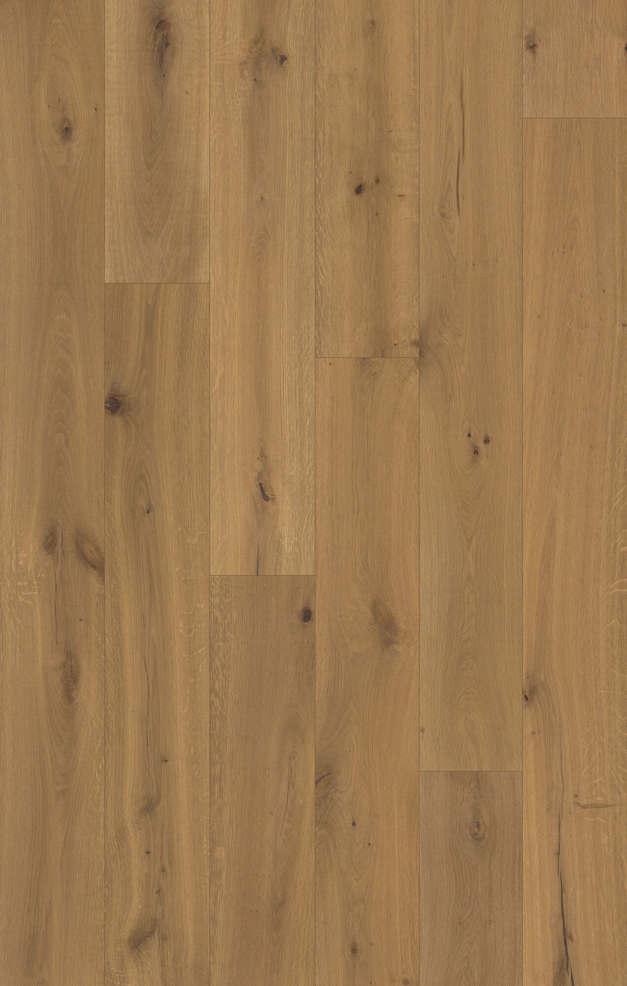 Trunorth Shadow Glen Engineered Hardwood Flooring, Fuzion swatch