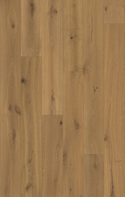 Trunorth Shadow Glen Engineered Hardwood Flooring, Fuzion swatch