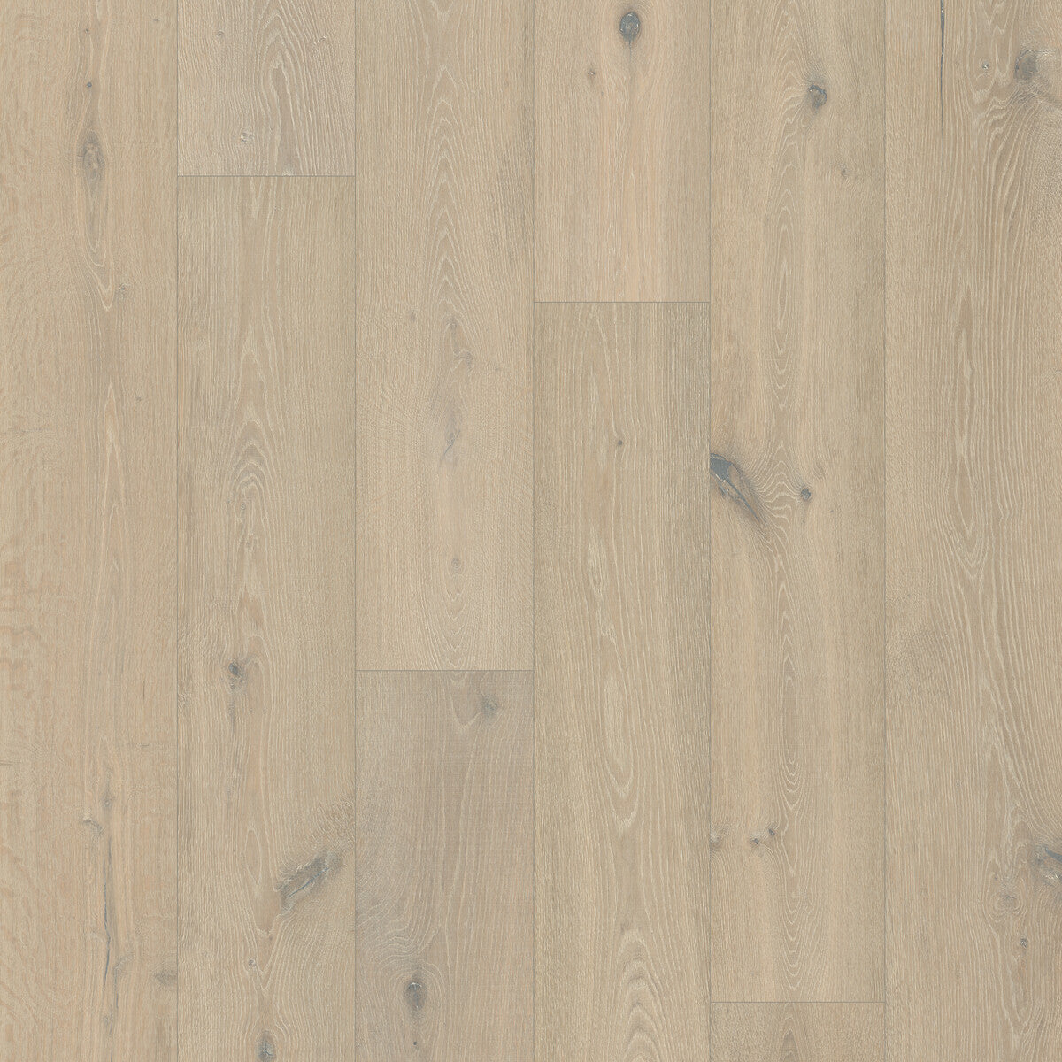 Trunorth Snowfall Glow Engineered Hardwood Flooring, Fuzion square flooring swatch