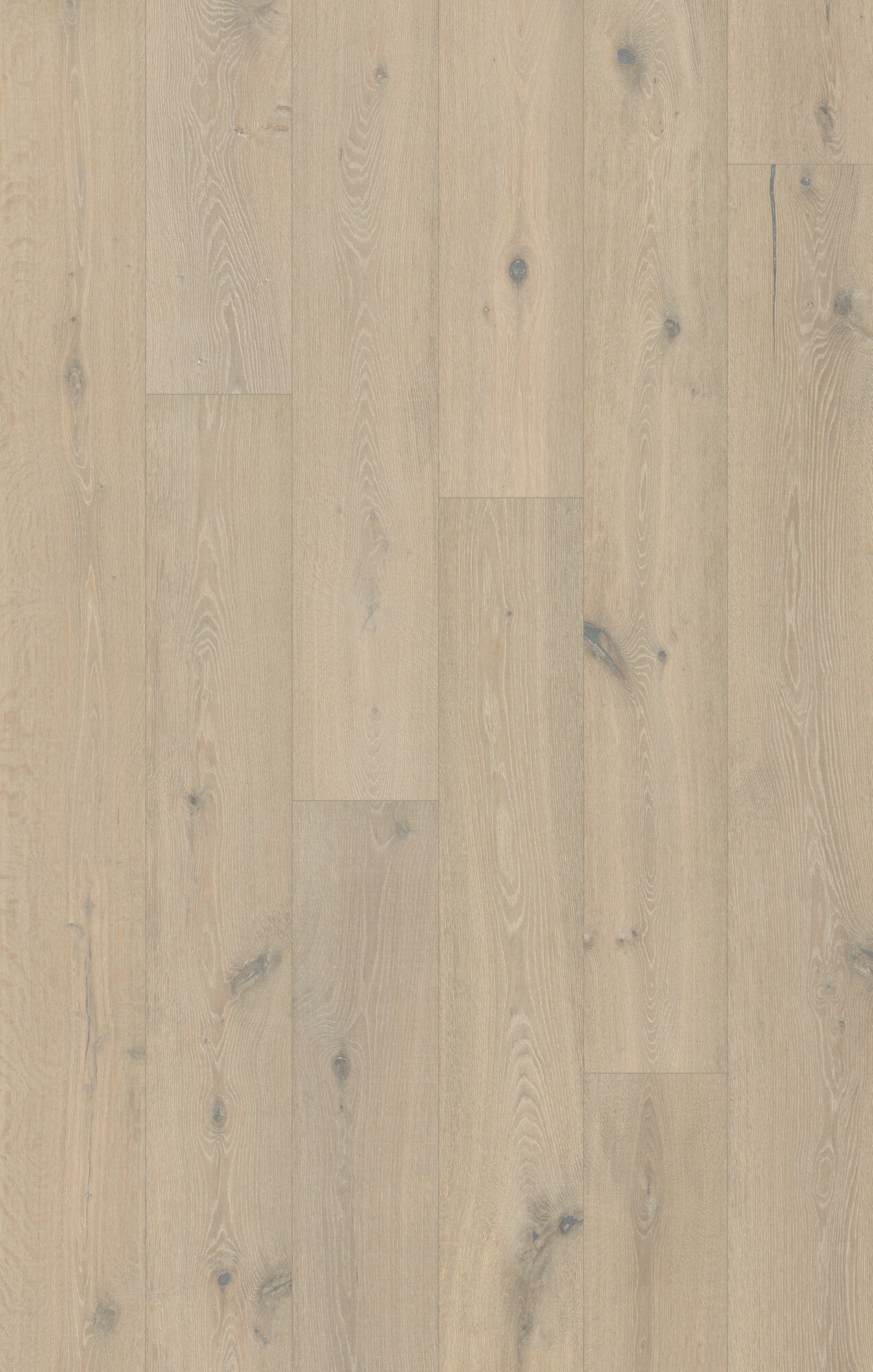 Trunorth Snowfall Glow Engineered Hardwood Flooring, Fuzion swatch