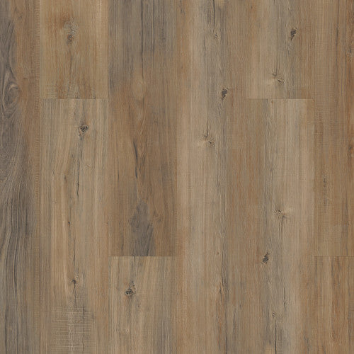 COREtec Pro Plus Enhanced Planks Edinburgh Oak USF RESIDENTIAL CORETEC