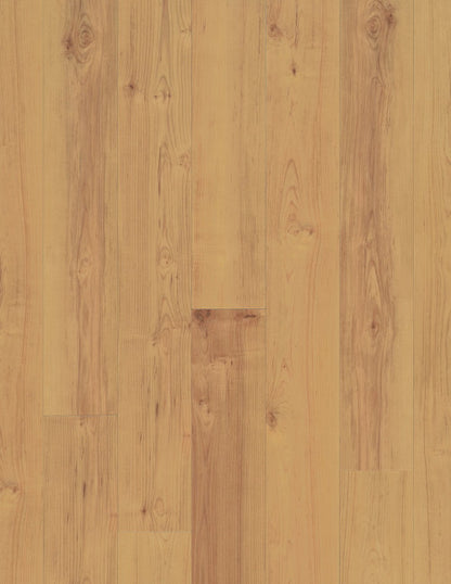 COREtec Originals Classics VV023 Norwegian Maple USF RESIDENTIAL CORETEC