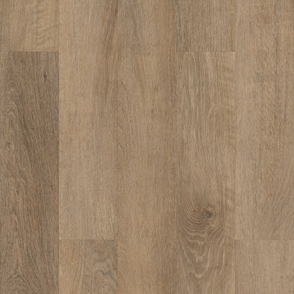 COREtec Originals Classics VV023 Brockport Oak USF RESIDENTIAL CORETEC