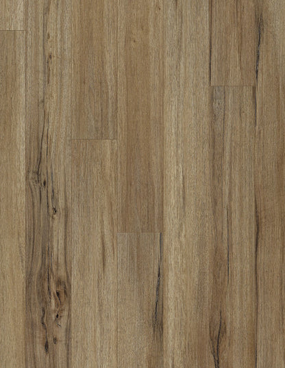 COREtec Originals Classics VV023 Baywood Oak USF RESIDENTIAL CORETEC