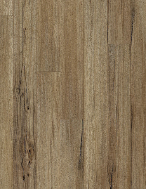 COREtec Originals Classics VV023 Baywood Oak USF RESIDENTIAL CORETEC