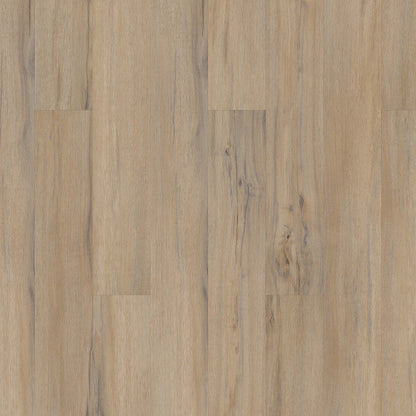 COREtec Originals Classics VV023 Dodwell Oak USF RESIDENTIAL CORETEC