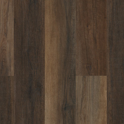 COREtec Pro Plus Enhanced HD 9" VV488 Cheshire Elm USF RESIDENTIAL CORETEC
