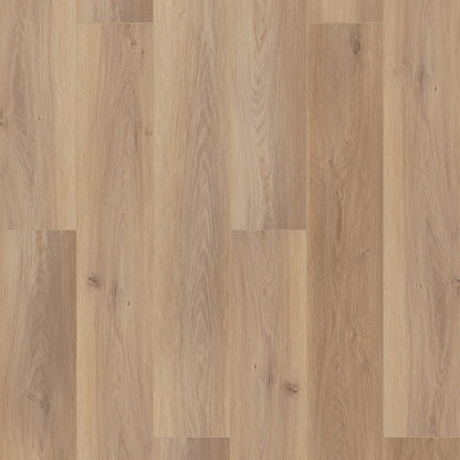 COREtec Pro Plus Enhanced HD 9" VV488 Wiltshire Oak USF RESIDENTIAL CORETEC