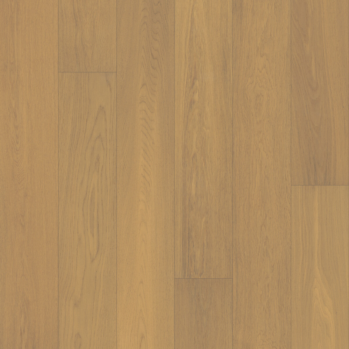 Velvet Grove Plank Dusken Veil Engineered Hardwood Flooring, Fuzion square flooring swatch