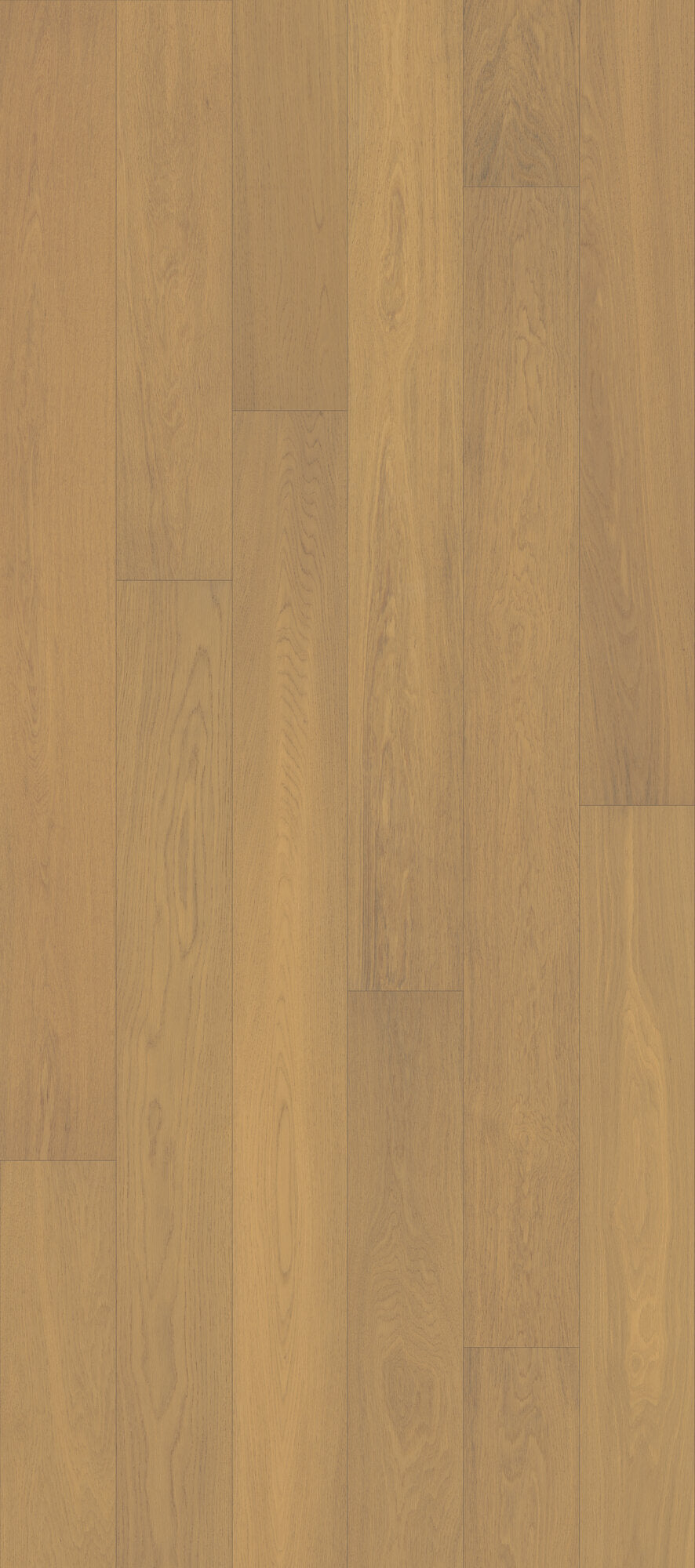 Velvet Grove Plank Dusken Veil Engineered Hardwood Flooring, Fuzion swatch