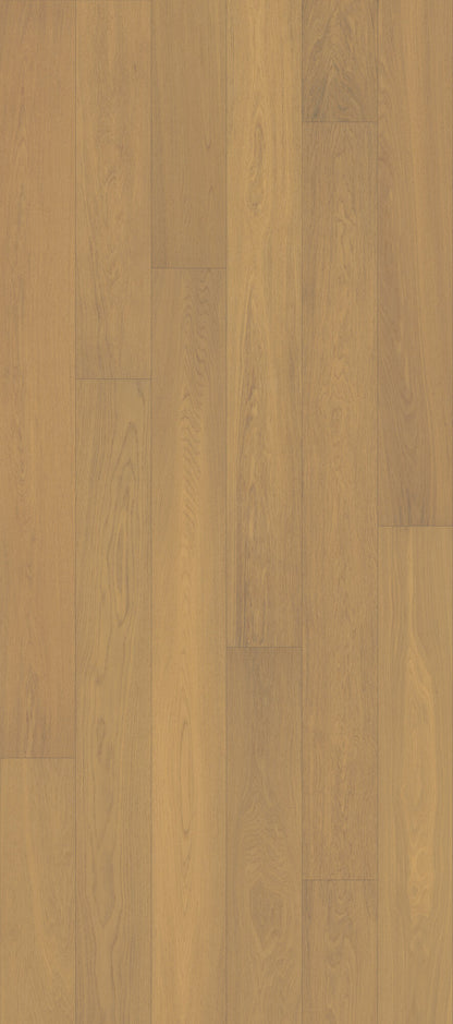 Velvet Grove Plank Dusken Veil Engineered Hardwood Flooring, Fuzion swatch