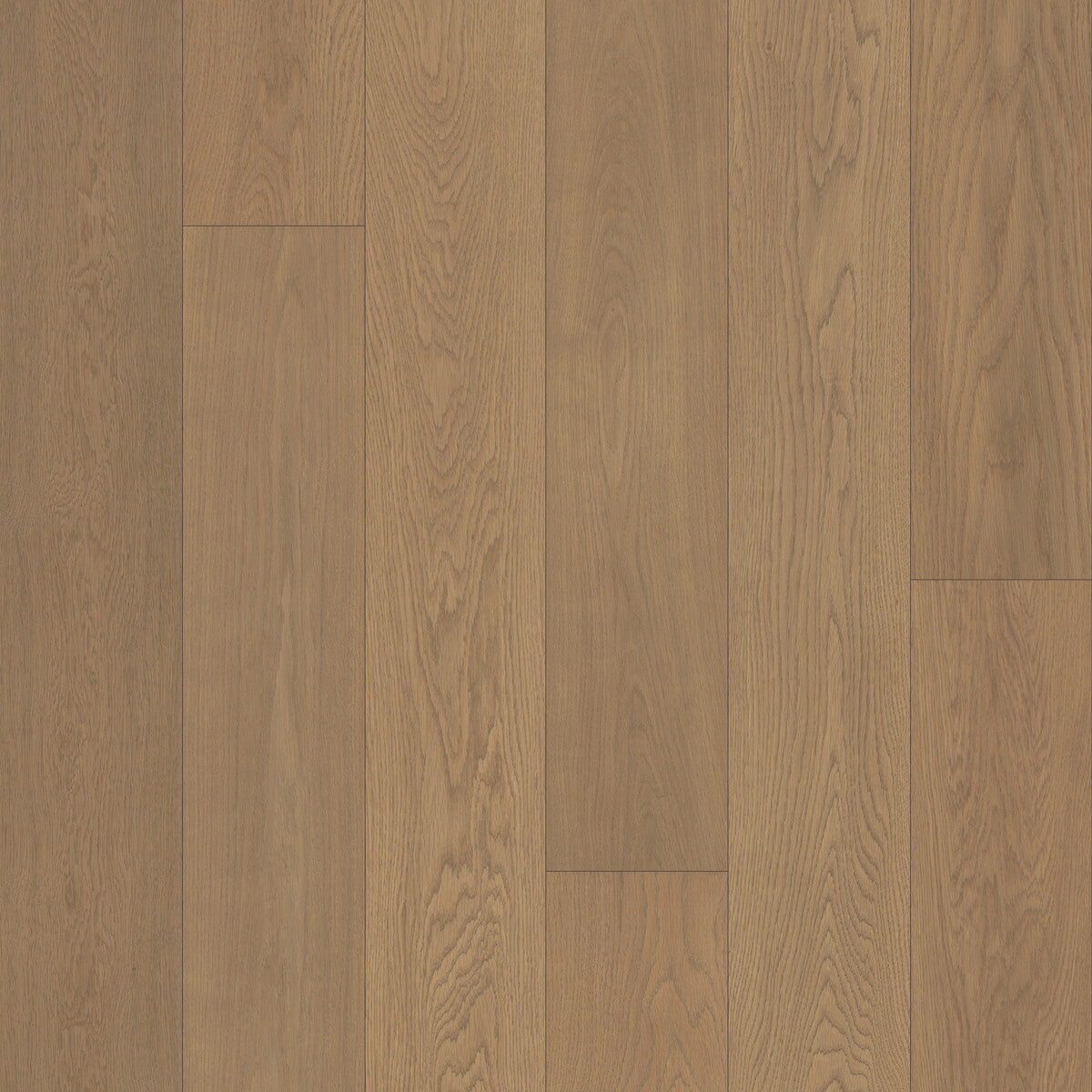 Velvet Grove Plank Ember Cloak Engineered Hardwood Flooring, Fuzion square flooring swatch