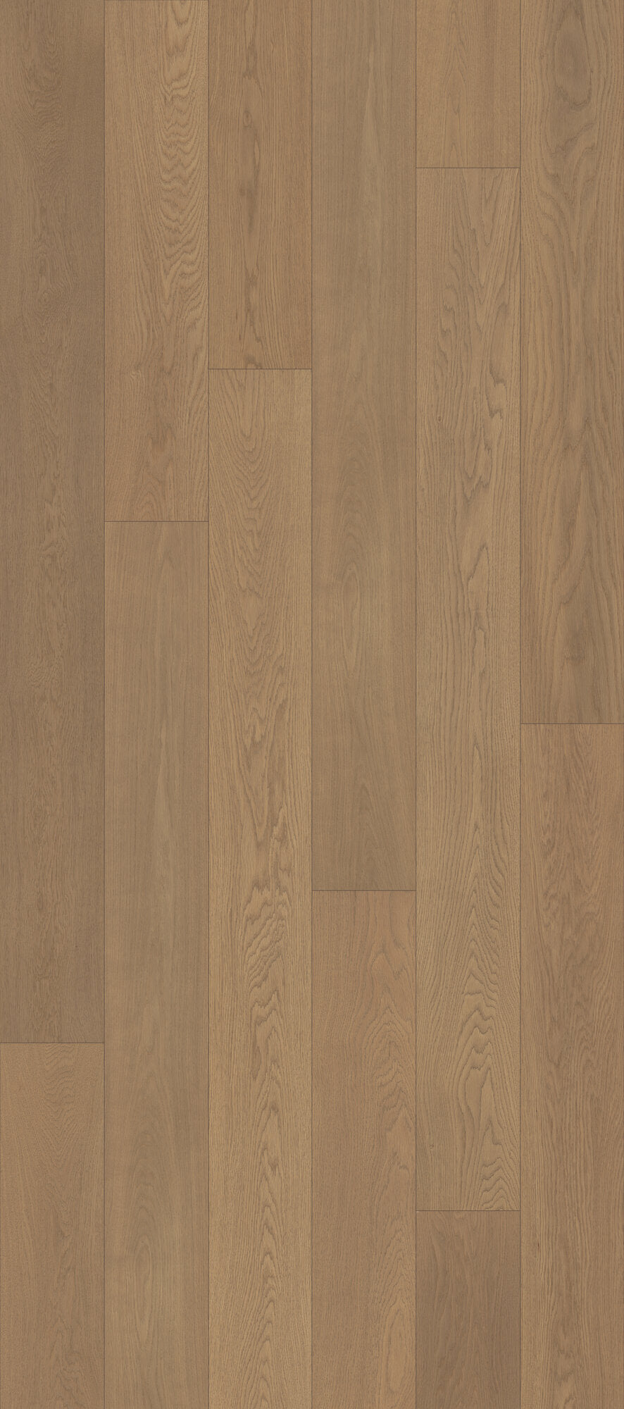 Velvet Grove Plank Ember Cloak Engineered Hardwood Flooring, Fuzion swatch