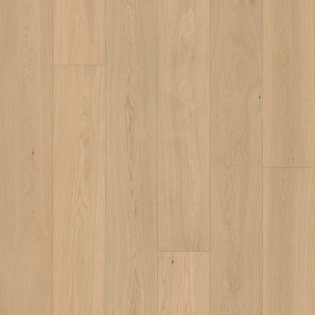 Velvet Grove Plank Serene Haze Engineered Hardwood Flooring, Fuzion square flooring swatch