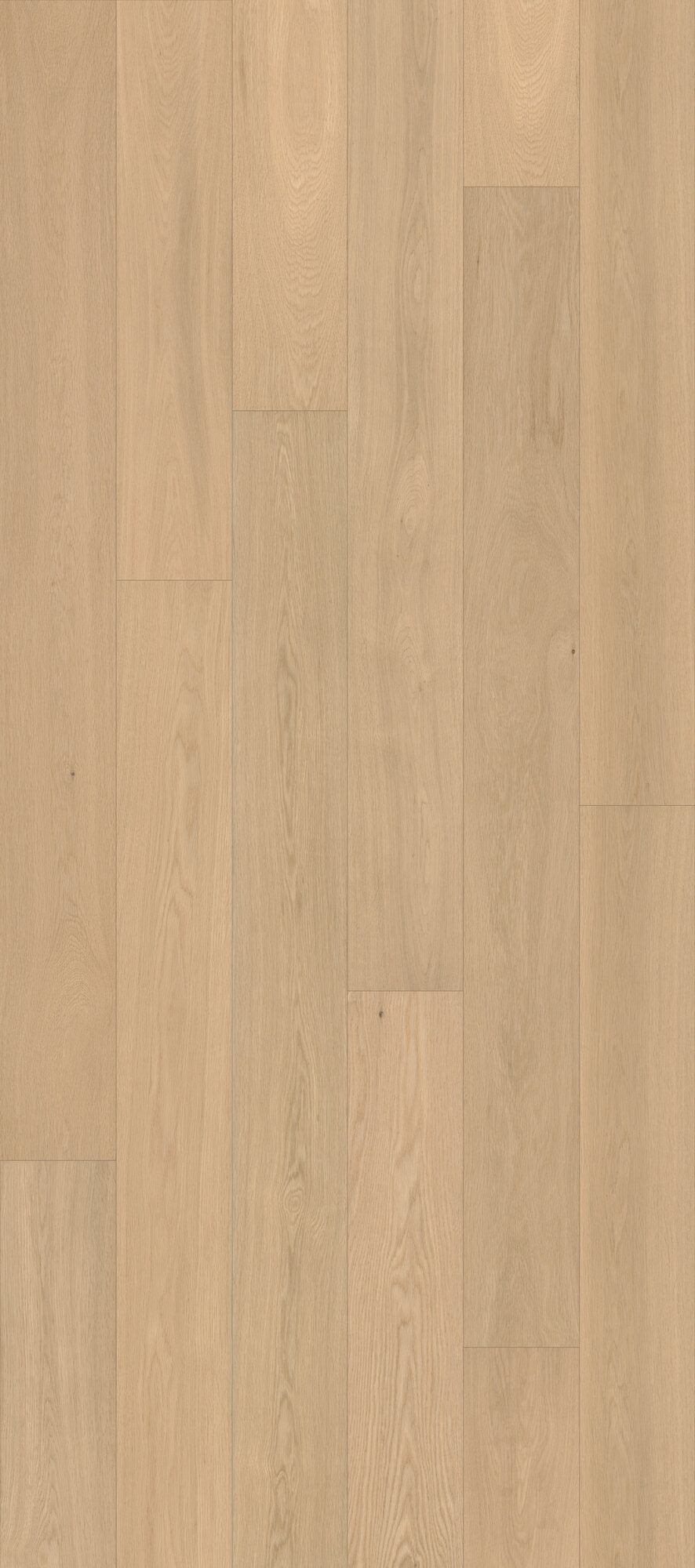 Velvet Grove Plank Serene Haze Engineered Hardwood Flooring, Fuzion swatch