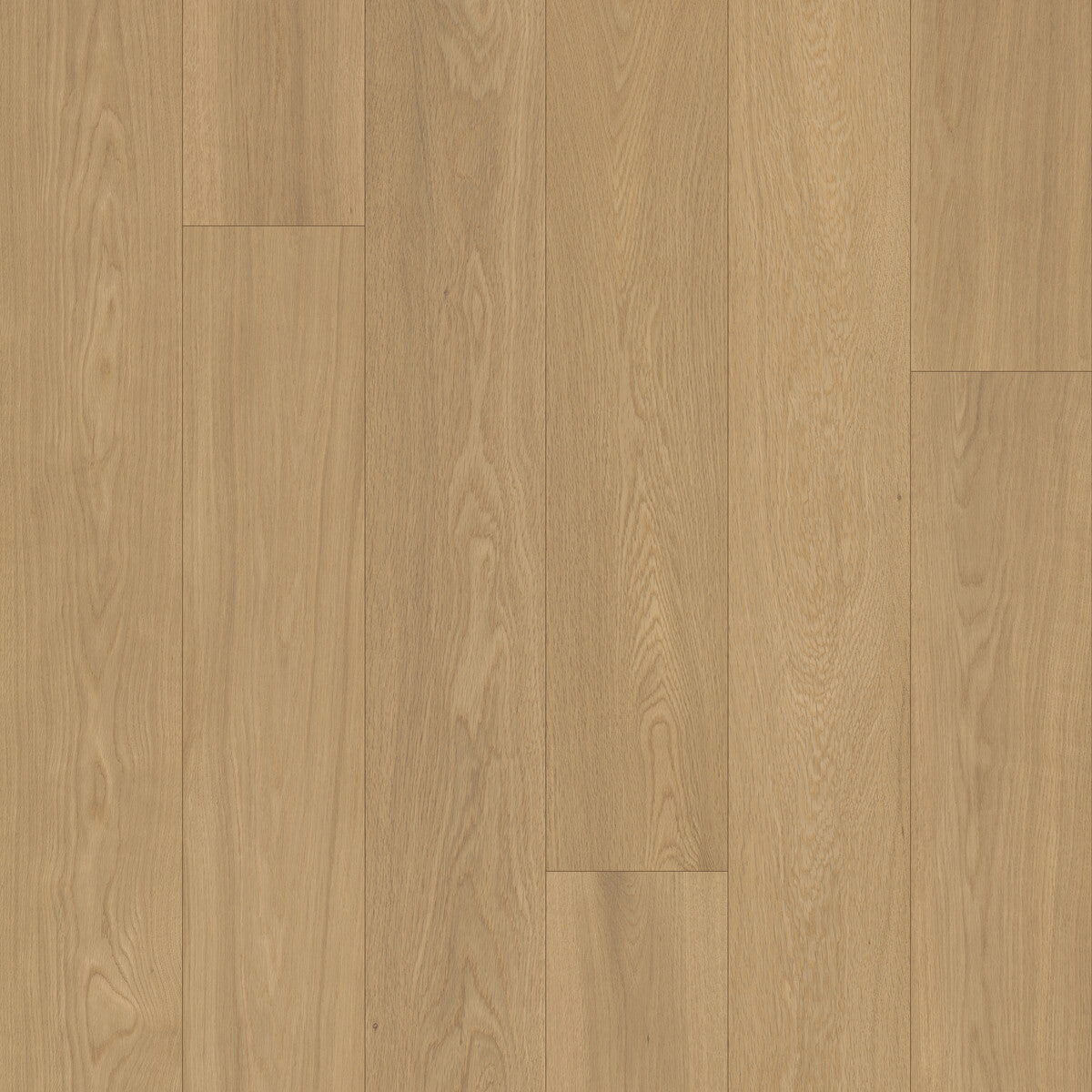 Velvet Grove Plank Whispering Moor Engineered Hardwood Flooring, Fuzion square flooring swatch