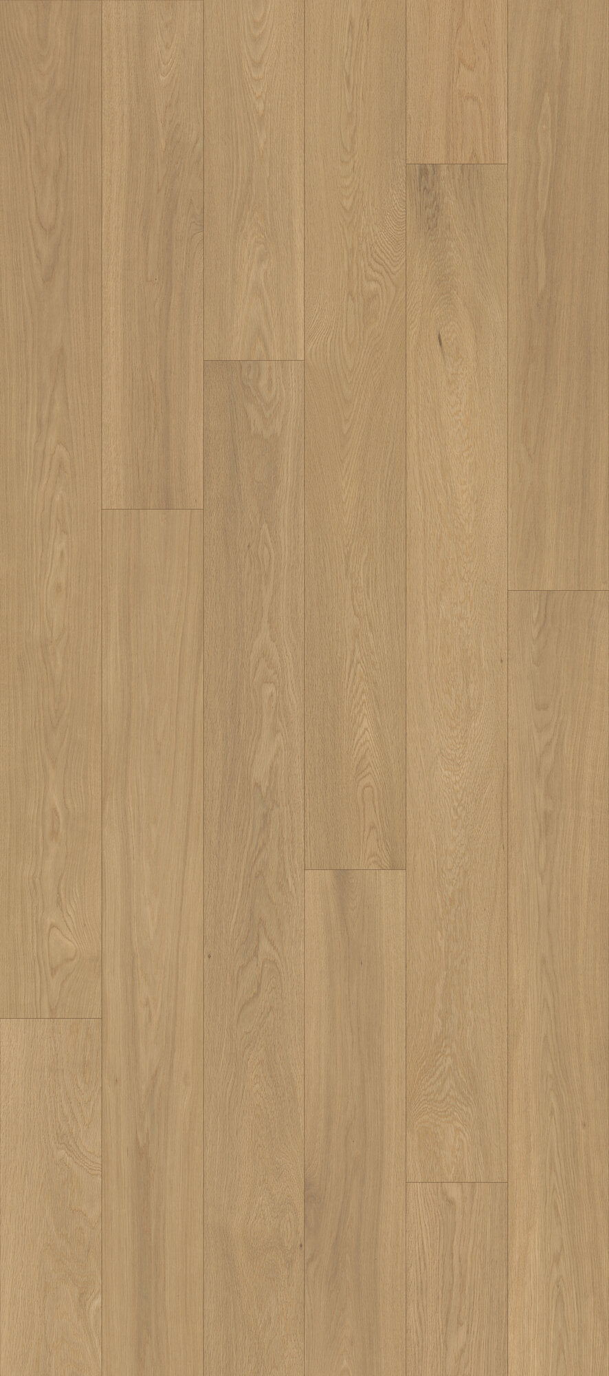 Velvet Grove Plank Whispering Moor Engineered Hardwood Flooring, Fuzion swatch