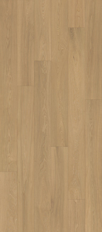 Velvet Grove Plank Whispering Moor Engineered Hardwood Flooring, Fuzion swatch
