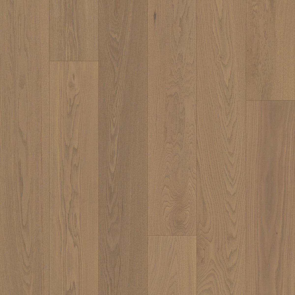 Whistler's Village Mist Hollow engineered hardwood flooring square swatch